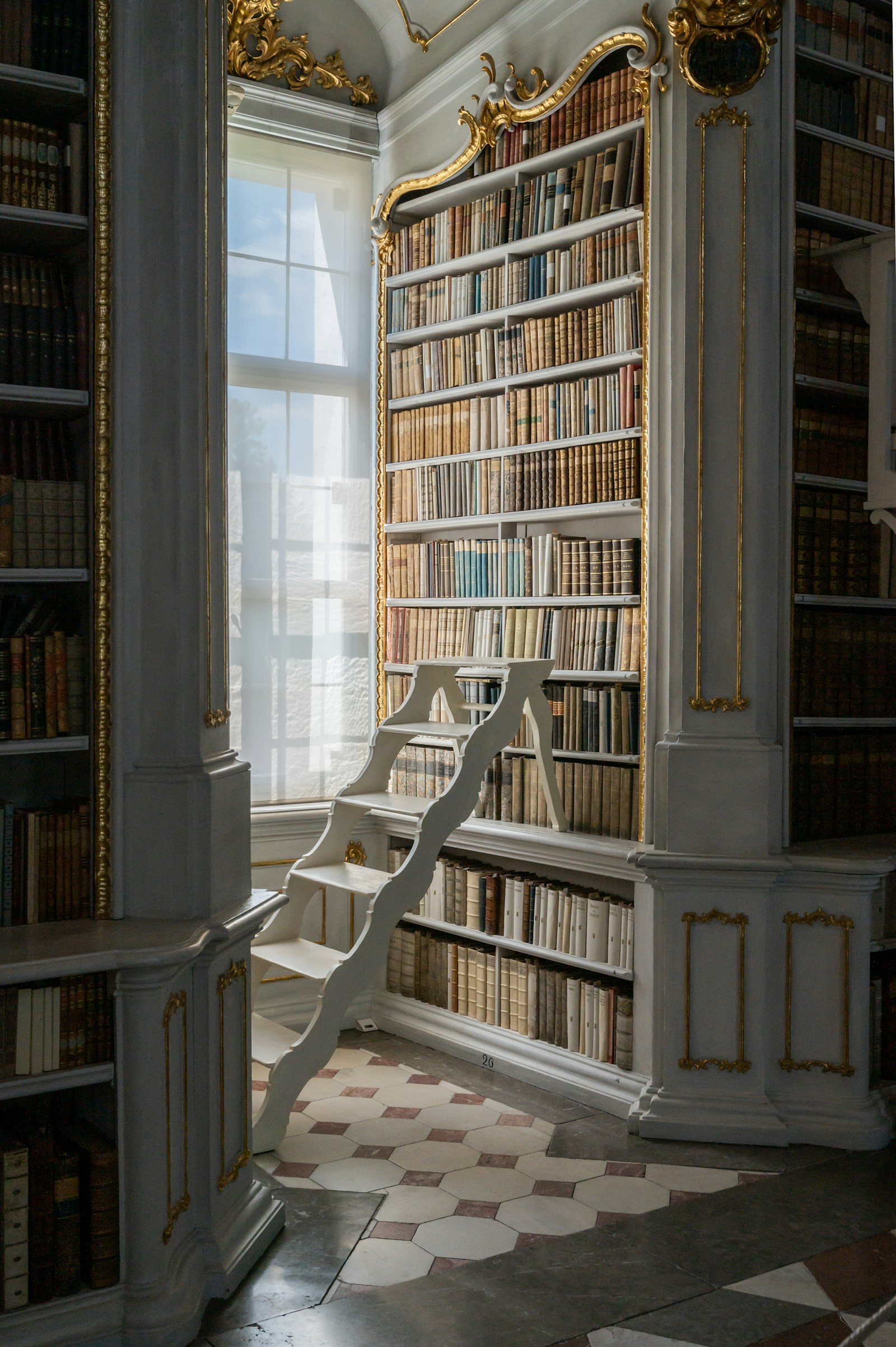 Illustrative reference photograph of a tall built-in bookcase with a library ladder; not NicLogistics inventory.